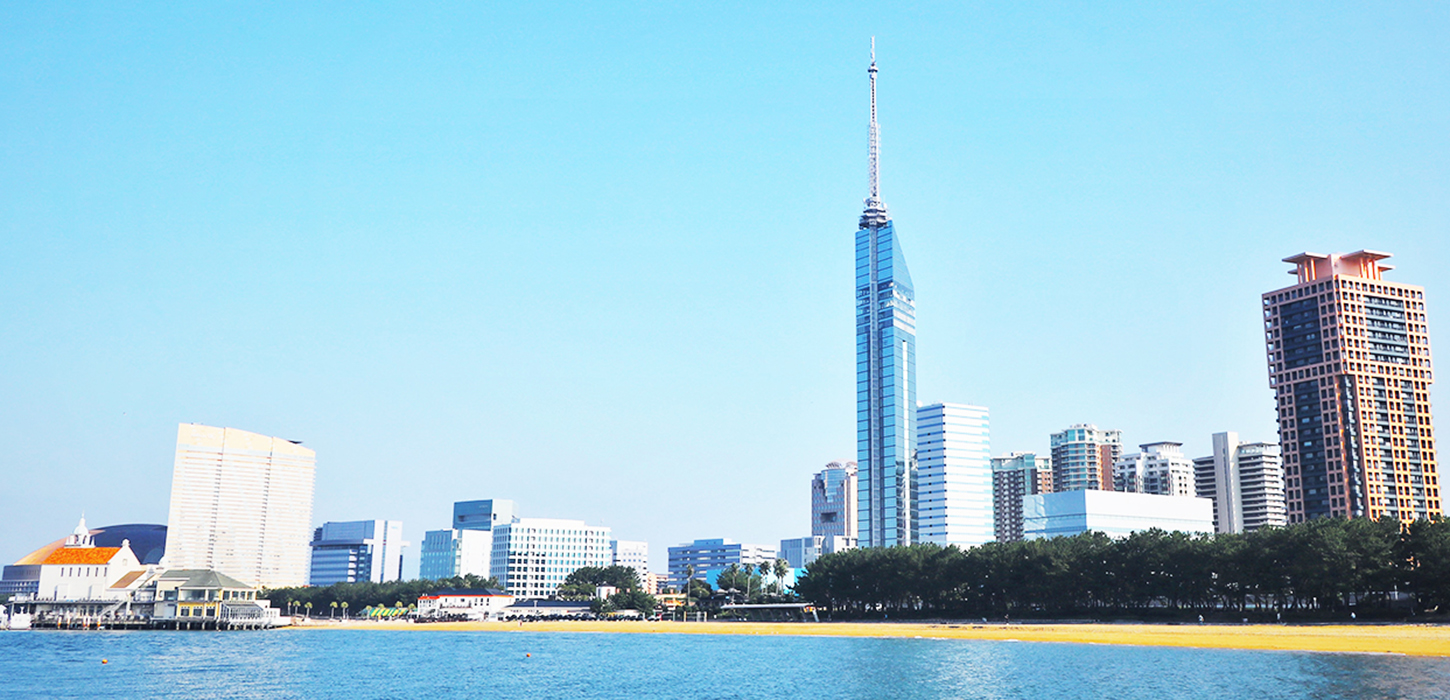 エムズシーお勧め情報